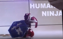 Human Ninja Prototype.PNG
