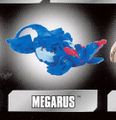 Megarus aquosx.jpg