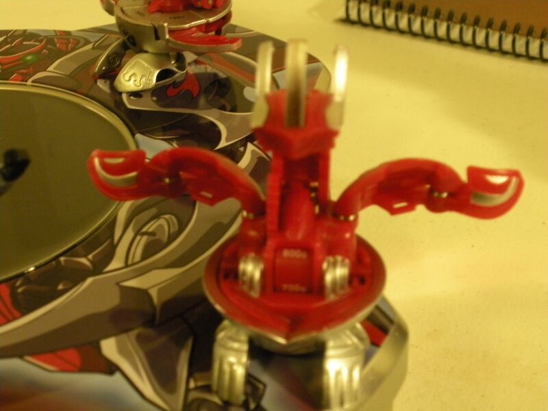 File:Pyrus Meta Drago.JPG