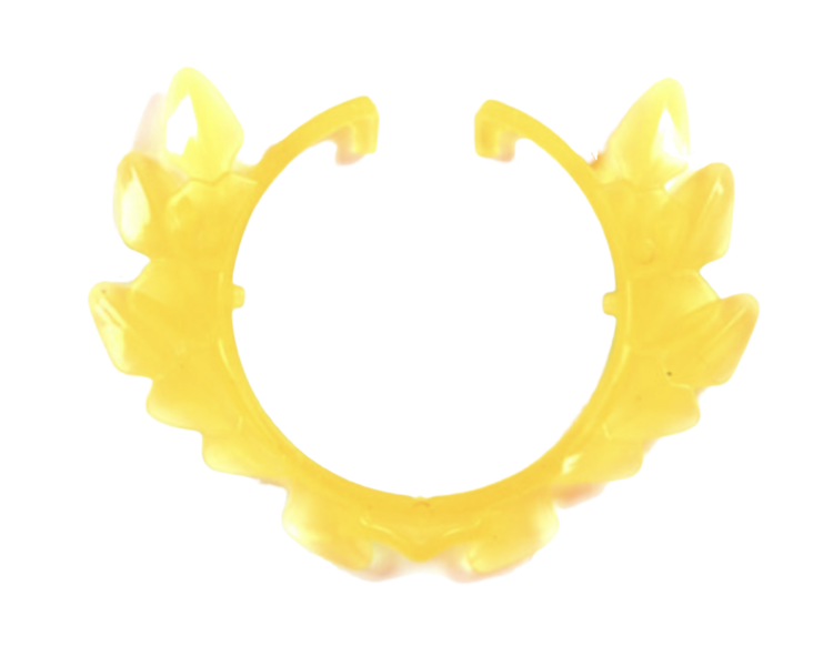 File:Chainblades Power Ring.png