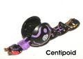 CENTIPOD!!!.jpeg
