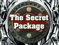 The Secret Package.png