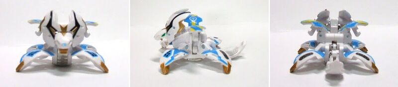 File:Kiran Leones (10).JPG